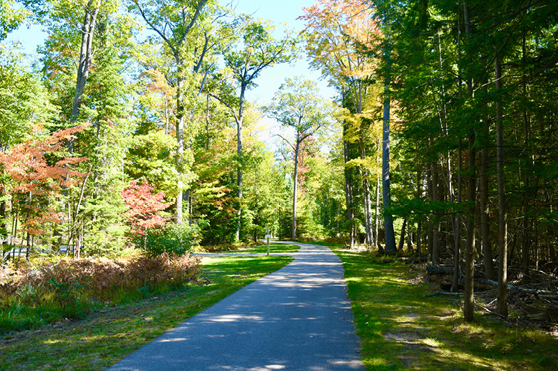 North Higgins Lake Trail